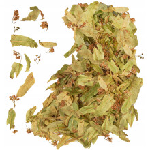 Lindblomst hele store blomsterstande med blade Polsk lind 100% aromatisk
