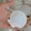 100Pcs Natural Scallop Shell, Special for Handmade DIY  Production Handmade DIY  Coloring Shell 3