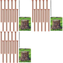 30pcs Copper Nails for Killing Trees Stump Root, 3.15 Inch Long Pure Copper Nails Bulk with Drill, Stump Removal Spikes