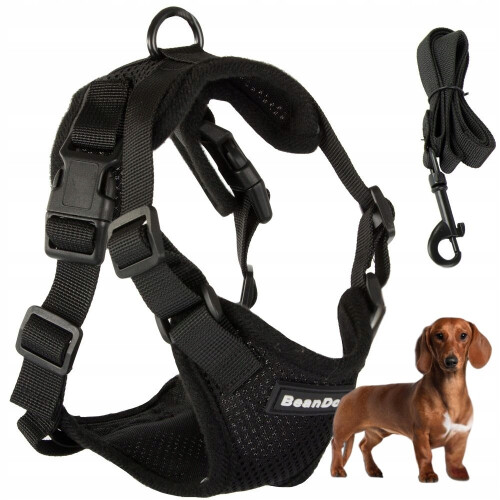 Hundesele M Uden Tryk Sort (100) GAB_A