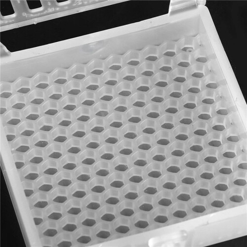 Beekeeping Cage Bee Moving Cage Bee Catcher Cage Plastic Rearing Transport Cage Tool Beekeeping Accessory(20pcs) 2