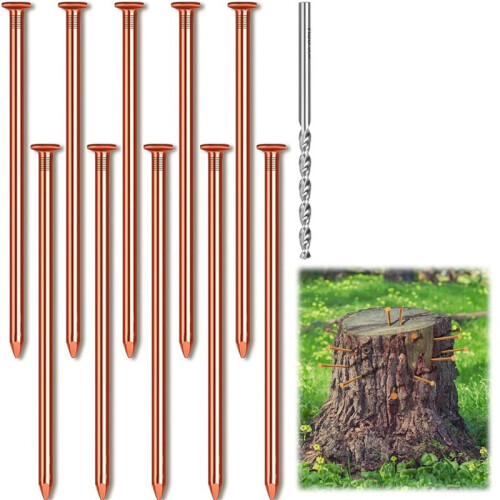 30 Pregos de Cobre para Matar Raízes de Tocos de Árvores, Pregos de Cobre Puro de 3,15 Polegadas de Comprimento A Granel com Broca, Pontas para 1