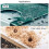 20PCS Titanium Coat Carbide End Mill Engraving Milling Cutter CNC Router Bits for PCB Machine, 1/8 Inch Shank 3.175Mm 7