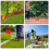 200Pack Marking Flags, Red Yard Flags 15x4x5Inch,  Flags, Lawn Flags Markers, Irrigation Flags, Landscape Flags 5