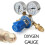 2X Argon Oxygen Acetylen Tryckregulator Mig Flödesmätare Tryckregulatorventil Syretrycksreducerare 6