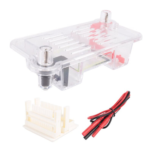 2X Horizontal Electrophoresis Tank Gel Experiment Biological Teaching Experimental Instrument Experimental Teaching Tool 2