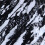 4X Hydrographischer Film - Wassertransferdruck - Wassertauchen - Plattenteller - 1 Meter 5