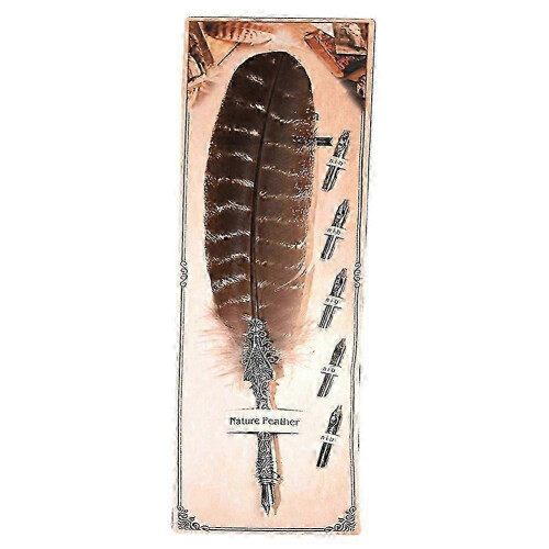 Vintage Feather Quill Pen for Calligraphy & Decor (04#)