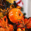 Couronne de feuilles d'érable - Ulisem - Halloween - Durable - Imperméable 3