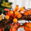 Couronne de feuilles d'érable - Ulisem - Halloween - Durable - Imperméable 5