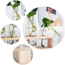 Vase cylindrique en verre - ZVD - Lot de 3 - Support en bois massif - Décoration contemporaine - Culture hydroponique