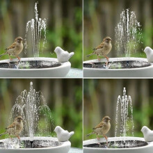 Kit de fontaine solaire 1,5 W à monter soi-même - 5 buses pour bains d'oiseaux - Bassins et jardins extérieurs - Fonctionnement écologique