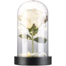 Decoration - Lunartec - Artificial rose under a glass dome - 25 LED string lights - Warm white - Realistic effect