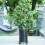 Large-format rolling stand - Black - 25 x 6 cm - 60 kg capacity 4