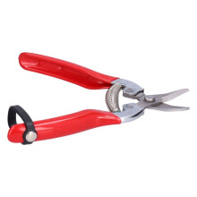 Ciseaux à cueillir pour fruits et fleurs, pour la taille des branches et le jardinage.