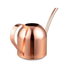 Arrosoir en acier inoxydable de 1000 ml (33 oz) avec long bec pour plantes d'intérieur - Rose