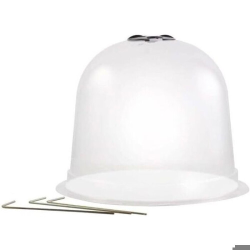 Plastic salad domes - Set of 6 - Transparent 1