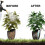 Drip Irrigation Bottle, 4 Pieces Ceramic Drip Irrigation Automatic Plant Sprinkler System 2