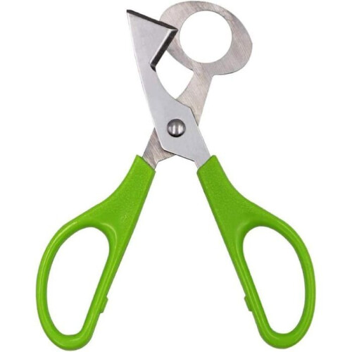2-piece stainless steel scissors for cutting quail egg shells, practical, multiple colors. KITCHEN SCISSORS 1