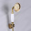 Shower head - YYV - BS126 - Brass - Gold - Portable 2