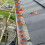Gutter Guard - Plastic Mesh - 18 cm Wide - 8 m Long - Black 4