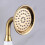 Douchekop - YYV - BS126 - Messing - Goud - Draagbaar 4