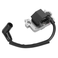 Ontstekingsmodule met bobines, complete bobine-unit voor de motor, hoogspanningsgereedschap voor Honda GCV135 GCV160 GCV190