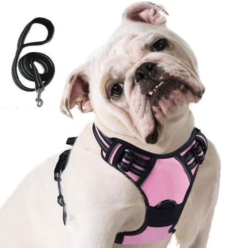 No-Pull Harness - Dog S - Rose Red - Control Handle - Reflective - Durable
