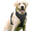 Dog Harness/No-Pull Dog Harness - Black, Size XL -- Adjustable, Reflective, Breathable Material, Label 1