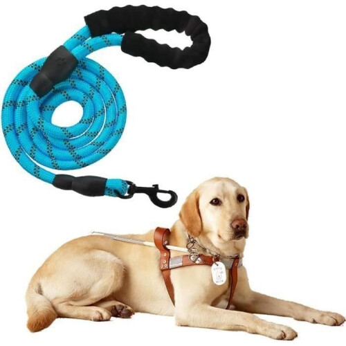5FT Strong Dog Leash with Comfortable Handle for Medium Dogs and Blue