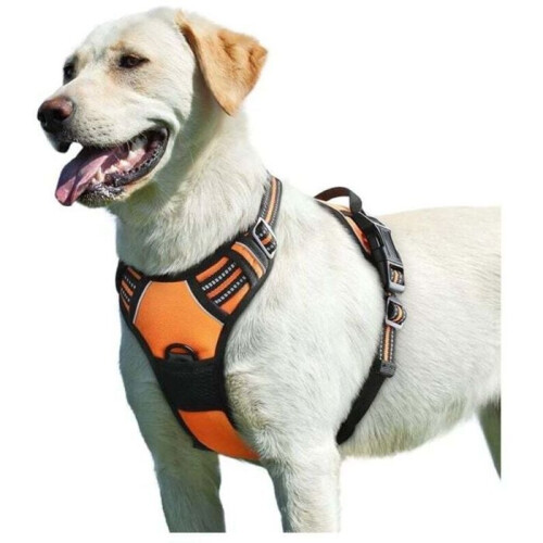 Medium/Large Orange Dog Harness, Reflective, Anti-Pull, Adjustable with Handle, Breathable, Durable and Easy to Put On