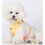 Adjustable, Lightweight, Breathable, Anti-Pull Dog Harness with Reflective Logo and Hook - Yellow L 4