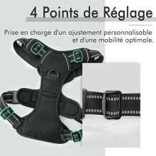 Dog Harness/No-Pull Dog Harness - Black, Size XL -- Adjustable, Reflective, Breathable Material, Label