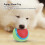 Dog toy - EBTOOLS - Elastic ball - Rubber - Squeaker - Round 4