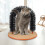 Cat toy - TEMPSA - Arch Brush - Scratching - Massage - Multi-purpose 1