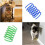 Cat Toy - GIGICIAL - Colorful Springs - 20 Pieces - Durable Plastic - Interactive 3