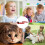 Electronic Toy - Rechargeable Snake - Smart Detection - For Cats - Indoor Use 2