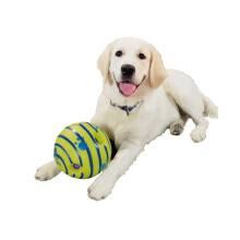 6-inch Pet Dog Play Ball, Chew Toy with Fun Squeaky Sound