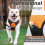 No-pull dog harness - PZCC - Reflective - Adjustable - Easy to put on - Control handle - Breathable 3