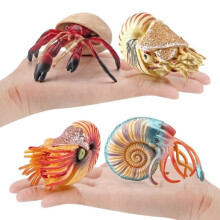 Toddler Toy - MARSEE - Ocean Creature Action Figure - 6 Nautiluses - 2 Hermit Crabs