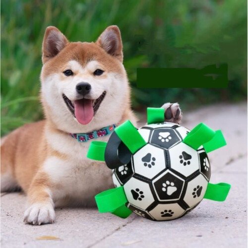 Interactive dog toy - Football - Durable - Floating - Large 1