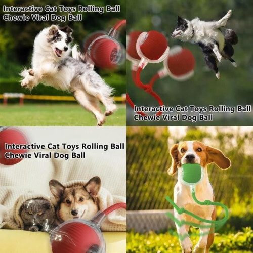 Interactive Toy - Dog Ball - Indestructible - Automatic - Obstacle Avoidance 2