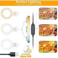Anneau lumineux 10 pouces - MARSEE - Anneau lumineux LED 3 modes avec support pour téléphone, idéal pour le maquillage et les effets
