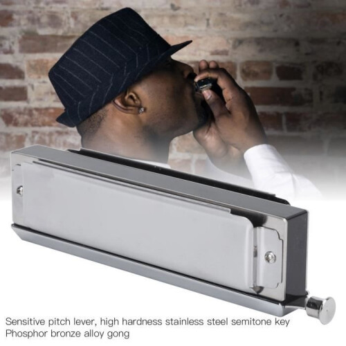 Harmonica Lv.life 40 tons, harmonica chromatique 10 trous, 40 tons, 2 faces, polyphonique, couleur argent