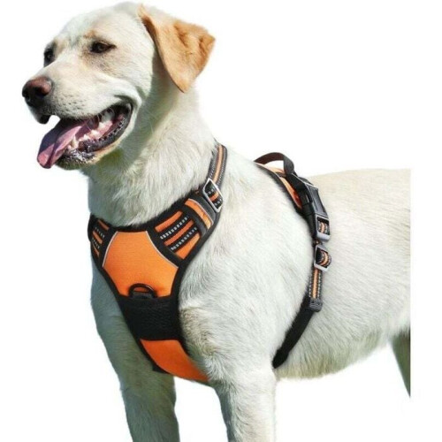 No-pull dog harness - PZCC - Reflective - Adjustable - Easy to put on - Control handle - Breathable