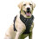 No-pull dog harness - MICH - Reflective - Adjustable - Size M - Red - Easy to put on 3