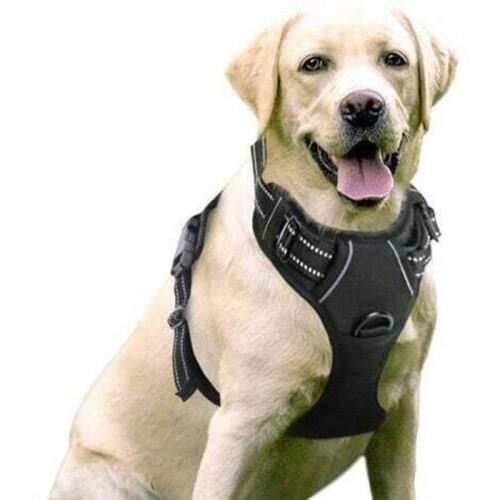 No-pull dog harness - MICH - Reflective - Adjustable - Size M - Red - Easy to put on 2