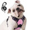No-Pull Harness - Dog S - Rose Red - Control Handle - Reflective - Durable 1