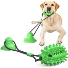 Jouet pour chien - Brosse à dents cactus - Caoutchouc TPR - Durable - Écologique