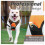 Medium/Large Orange Dog Harness, Reflective, Anti-Pull, Adjustable with Handle, Breathable, Durable and Easy to Put On 1